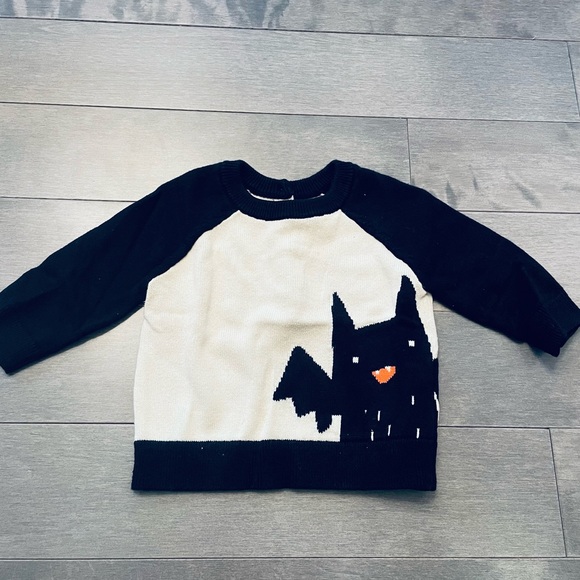 Baby Gap bat knit sweater - Picture 1 of 3